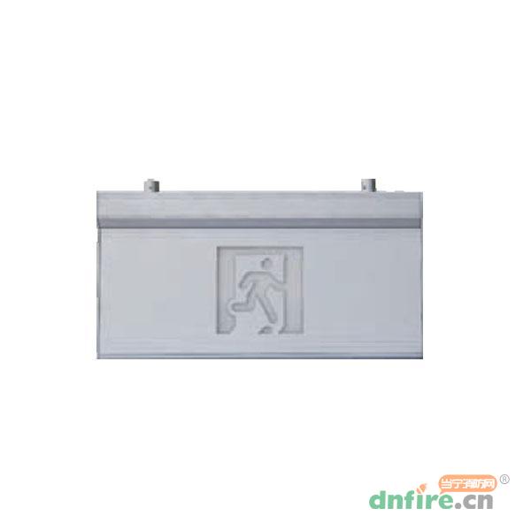 ZC-BLJC-20EⅡ2WL吊裝式中型單色指示標(biāo)志燈具