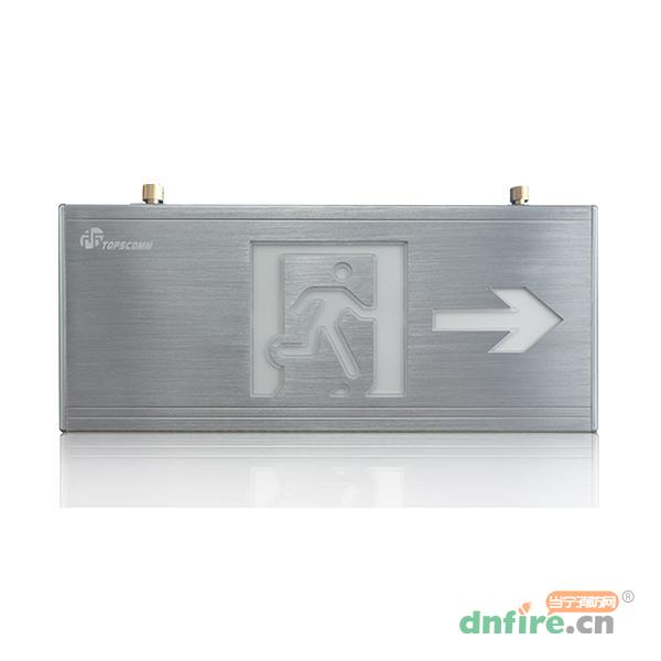 TS-BLJC-2LREI0.5W-D001集中電源集中控制型消防應(yīng)急標(biāo)志燈具 吊裝