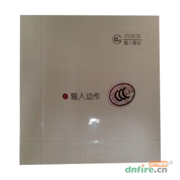 AY5620輸入模塊,安宇,輸入模塊