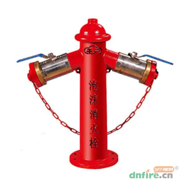 PK100/65X2-1.6消防泡沫開關(guān) 泡沫消火栓,天廣,泡沫噴霧滅火裝置