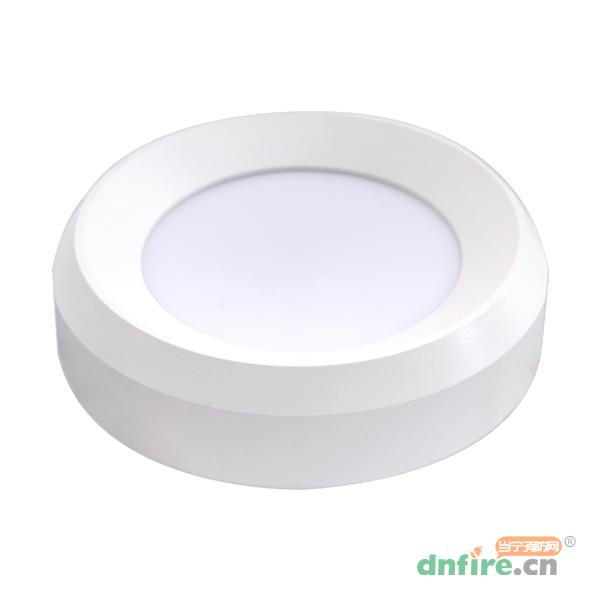 GD-ZFJC-E3W-609X3集中電源集中控制型消防應(yīng)急照明燈具,高德利華,消防應(yīng)急照明燈