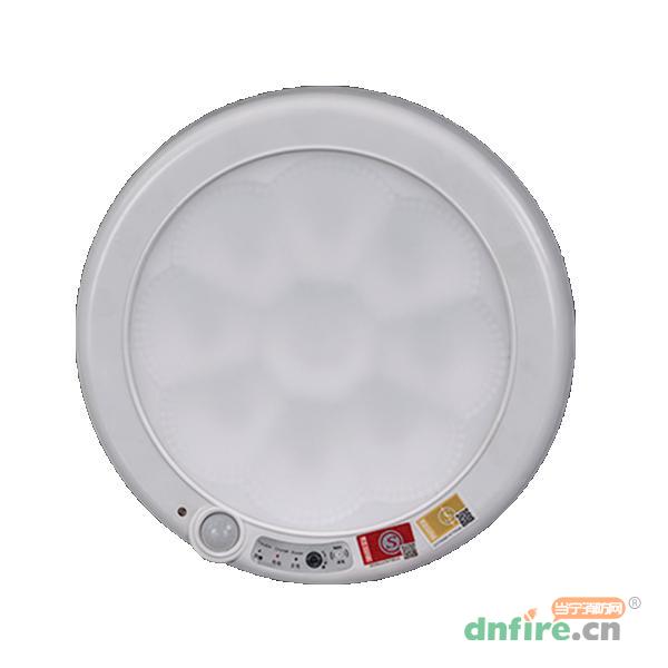 WD-593/WD-594應(yīng)急聲控感應(yīng)燈,旺斯達(dá),消防應(yīng)急照明燈