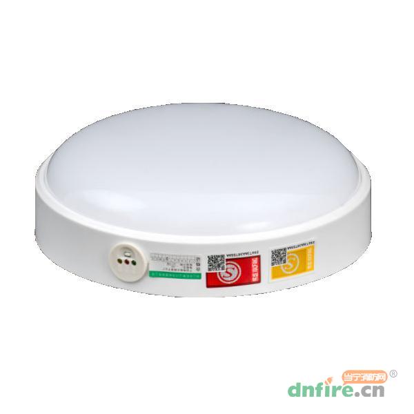 WD-5901應急吸頂燈,旺斯達,消防應急照明燈