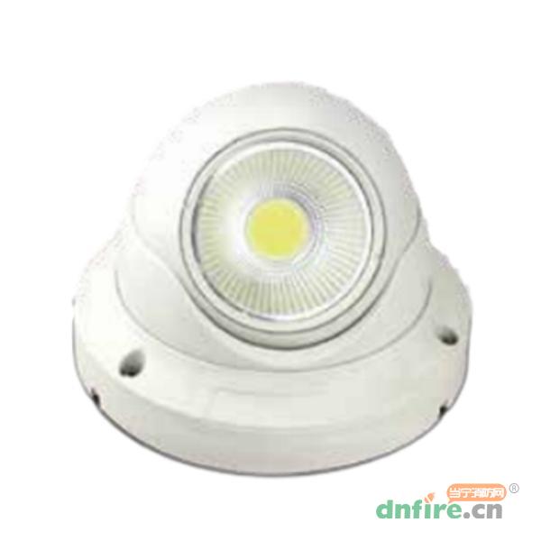 XM-ZFJC-E8W-3D/XM-ZFJC-E10W-3D消防應(yīng)急照明燈具