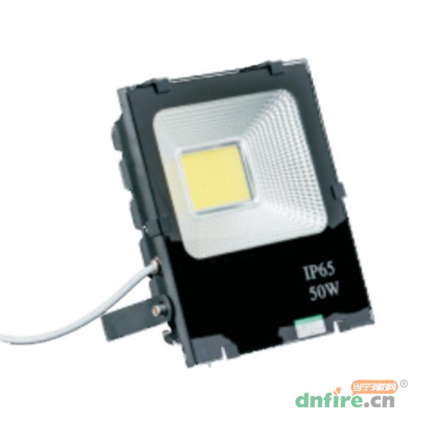 WD-6002應(yīng)急投光燈,旺斯達(dá),消防應(yīng)急照明燈