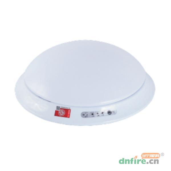 WD-ZFZD-E3WX應急吸頂燈,旺斯達,消防應急照明燈