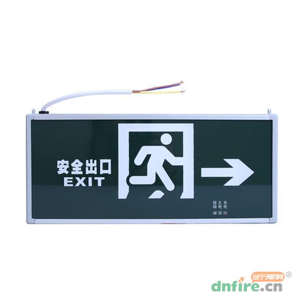 L-BLZD-1LROE I 5WDAA雙面疏散指示燈,勞士,消防應(yīng)急疏散指示燈