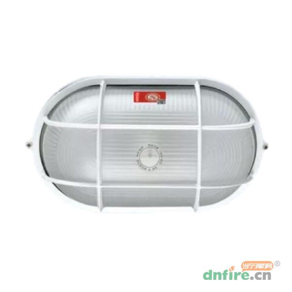 N-ZLZD-E20W1924橢圓三防燈應(yīng)急照明燈具