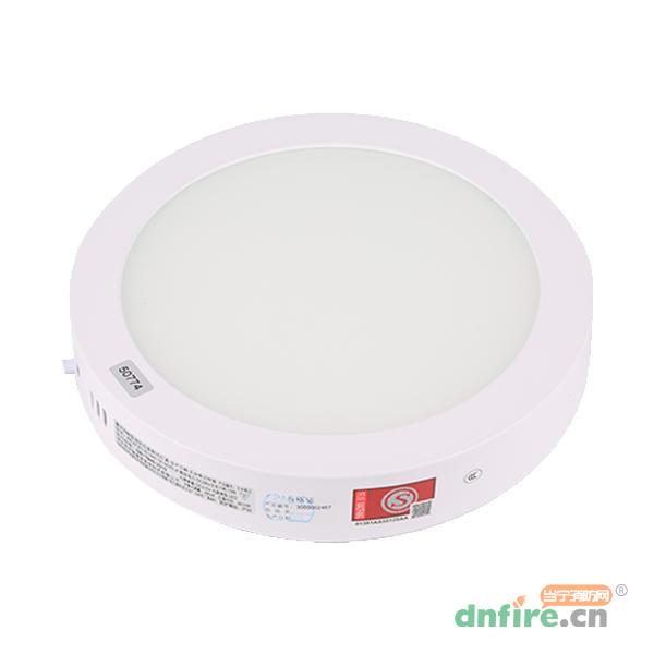 ZS-ZFZC-E13W-I313/25LX應(yīng)急照明,中智盛安,消防應(yīng)急照明燈