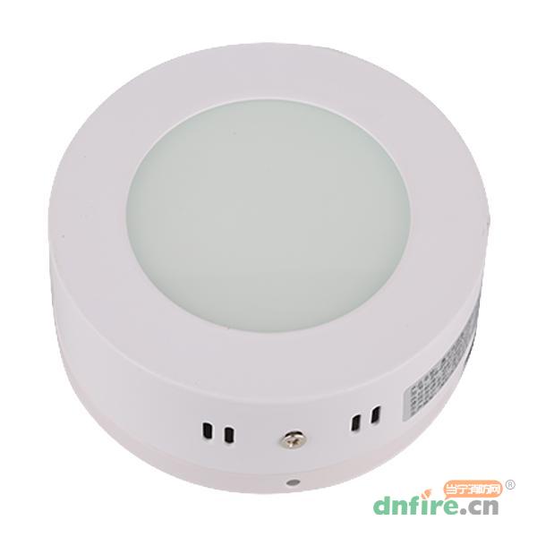 ZS-ZFZC-E5W-I310/10LX應(yīng)急照明燈具,中智盛安,消防應(yīng)急照明燈