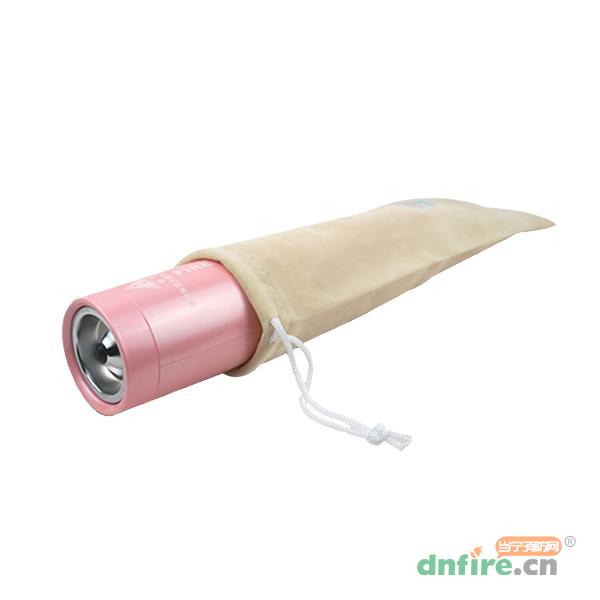 便攜式生如夏花氣溶膠滅火器,及安盾消防,滅火器材