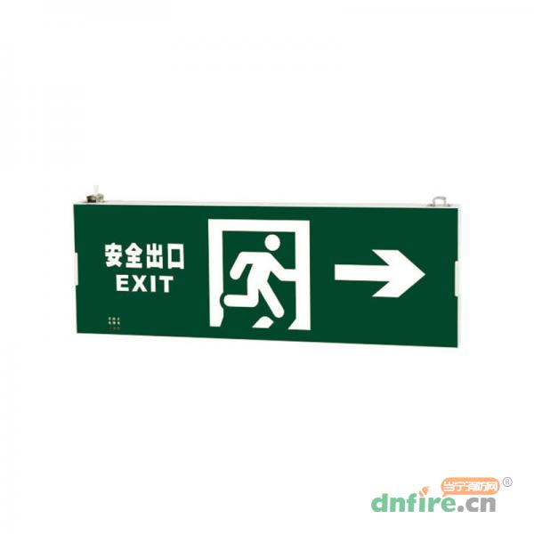L-BLZD-1LROEⅢ8WDAM大型防火全塑料超窄邊框標志燈,勞士,消防應(yīng)急疏散指示燈