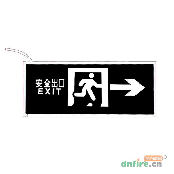 Z-BLZD-2LROEI3W-Z18-B5消防應(yīng)急標(biāo)志燈具,左向科技,消防應(yīng)急疏散指示燈