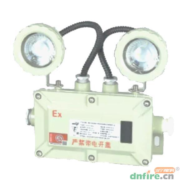 ZC-ZFJC-E5W-Ex防爆壁掛照明雙頭燈,中川電氣,消防應(yīng)急照明燈