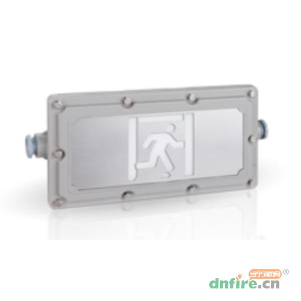 RX-BLJC-1LRXEI1W-1621集中電源消防應(yīng)急標(biāo)志燈具