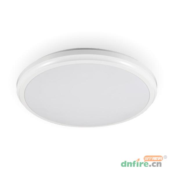 Z-ZFJC-E12W-1231集中電源集中控制型消防應急照明燈具LG1231,樂工光電,消防應急照明燈
