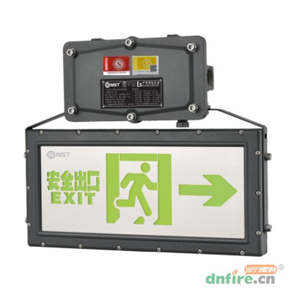 N-BLJC-2LROEⅠ0.5WZGB集電集控IP65雙面防水防爆標(biāo)志燈N8473-A,拿斯特,消防應(yīng)急疏散指示燈