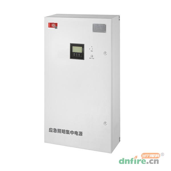 N-D-1.2KVA-216L 216V1200W鋰電池集中電源+分配電/二合一/市電檢測/不含電池N8139,拿斯特,應(yīng)急照明集中電源