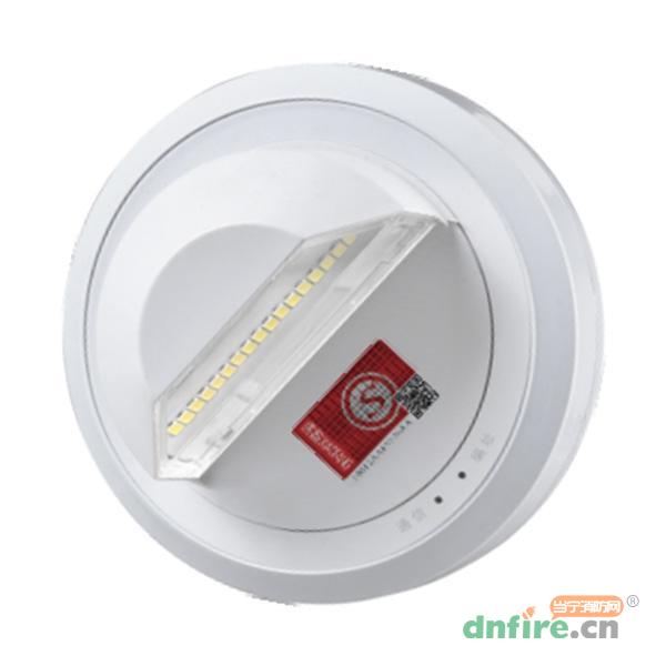 N-ZFJC-E0.5W8204集電集控側(cè)面發(fā)光仿煙感照明燈/N8204,拿斯特,消防應(yīng)急照明燈