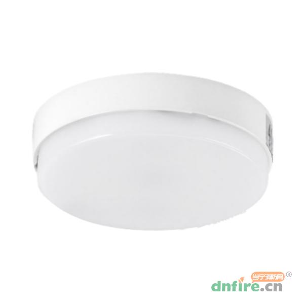 Z-ZFJC-E5W-1217集中電源集中控制型消防應(yīng)急照明燈具 100吸頂燈,樂(lè)工光電,消防應(yīng)急照明燈