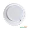 N-ZFJC-E0.5W8202集電集控正面發(fā)光仿煙感照明燈N8202,拿斯特,消防應(yīng)急照明燈