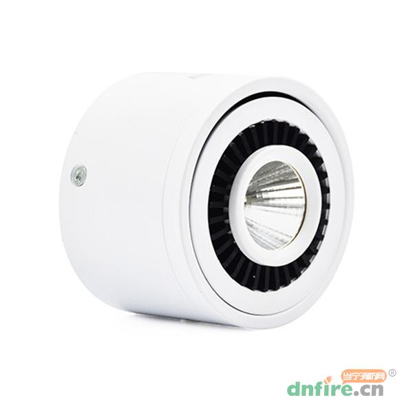 S1707藝光智能消防集中電源集中控制型應(yīng)急照明燈