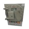 ZC-D-0.3KVA-BDK52防爆型應(yīng)急照明集中電源,中川電氣,應(yīng)急照明集中電源