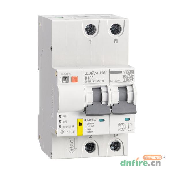 ZCBLE1iC-100H/2P物聯(lián)網(wǎng)漏電斷路器
