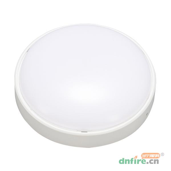 TY-ZFJC-E10W95B1吸頂式照明燈,臺誼,消防應急照明燈