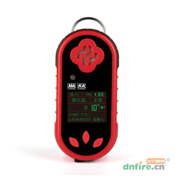 CLH100硫化氫測(cè)定器 硫化氫探測(cè) H2S,保時(shí)安,可燃?xì)怏w探測(cè)器