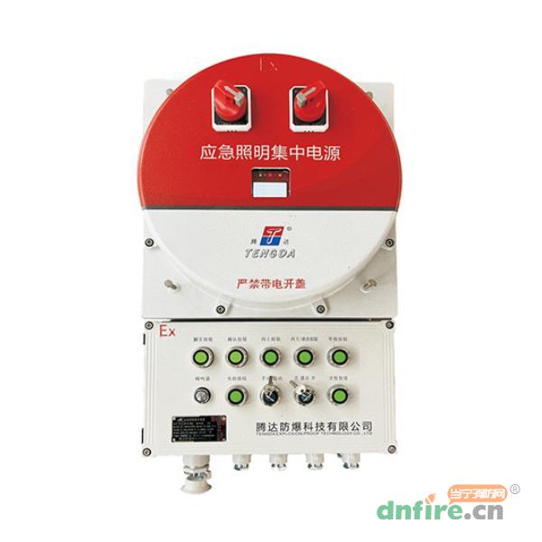 TD-D-0.6KVA-EX-BXM53應急照明集中電源 防爆 A型,騰達防爆,應急照明集中電源