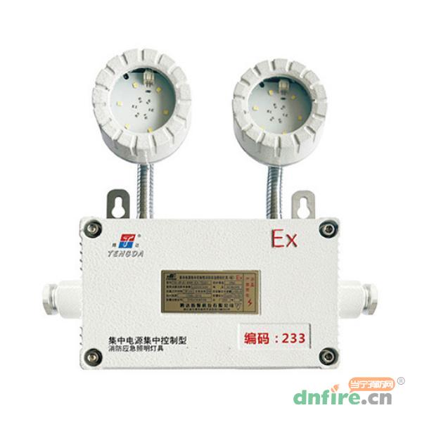TD-ZFJC-E6W-EX-TDJ51防爆型消防應(yīng)急照明燈具 集電集控,騰達(dá)防爆,消防應(yīng)急照明燈