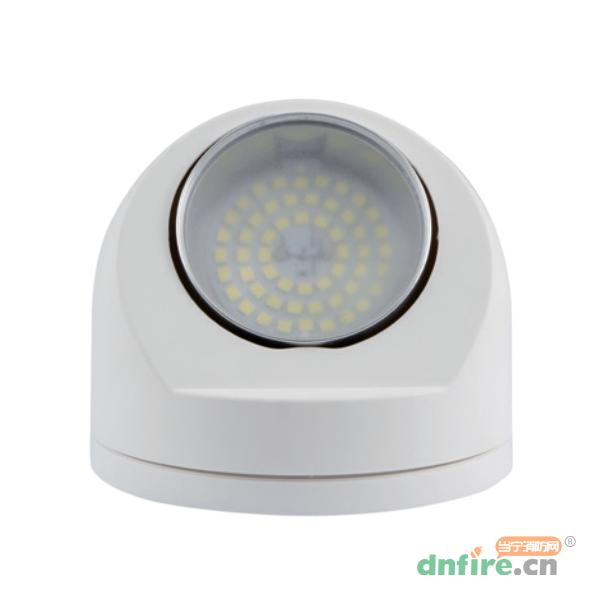 SE-ZFJC-E5W-EL5212壁掛式消防應急照明燈具,西門子,消防應急照明燈