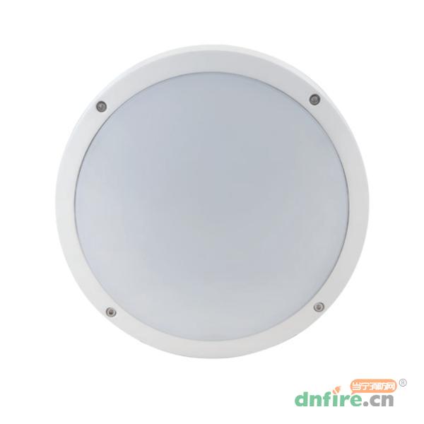 SE-ZFJC-E30W-EL5220吸頂式消防應(yīng)急照明燈具（B 型）,西門子,消防應(yīng)急照明燈