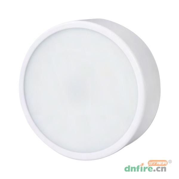 HS-ZFJC-E5W-H8185/5W集中電源集中控制型消防應急照明燈具