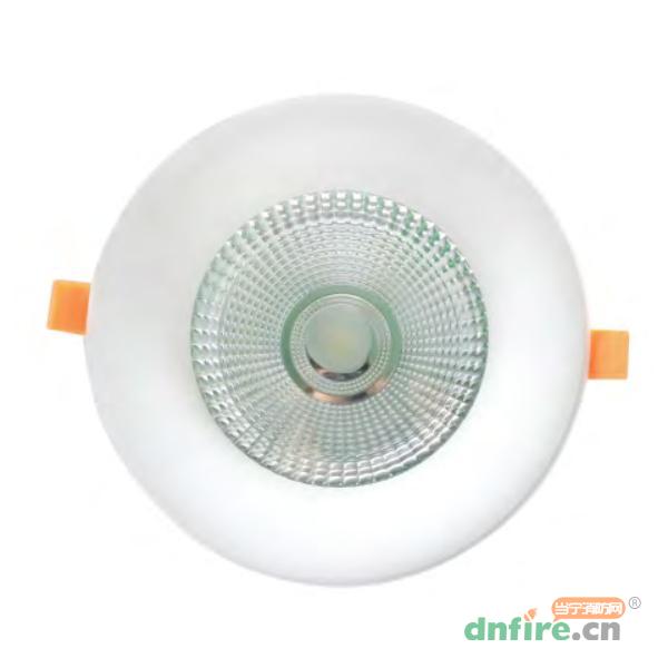 HS-ZLJC-E30W-H8192集中電源集中控制型消防應(yīng)急照明燈具 B型燈,霍盛,消防應(yīng)急疏散指示燈