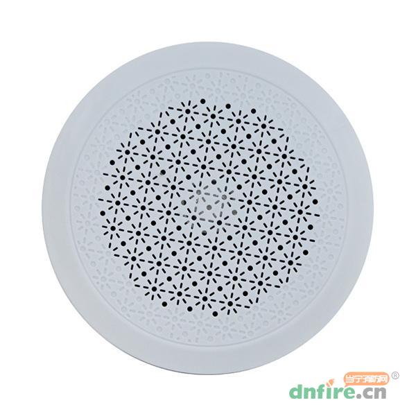 HY6258明裝揚(yáng)聲器 5W,恒業(yè)科技,壁掛式