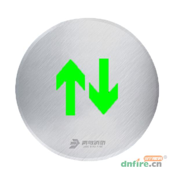 J-BLJC-1LREⅠ0.3W-11M2XA集中電源集中控制型消防應(yīng)急標(biāo)志燈 雙向嵌地,青鳥消防,消防應(yīng)急疏散指示燈
