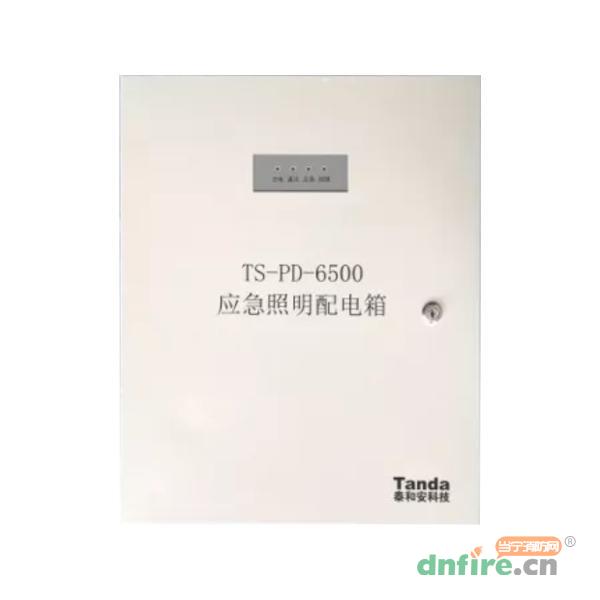 TS-PD-6500應(yīng)急照明配電箱