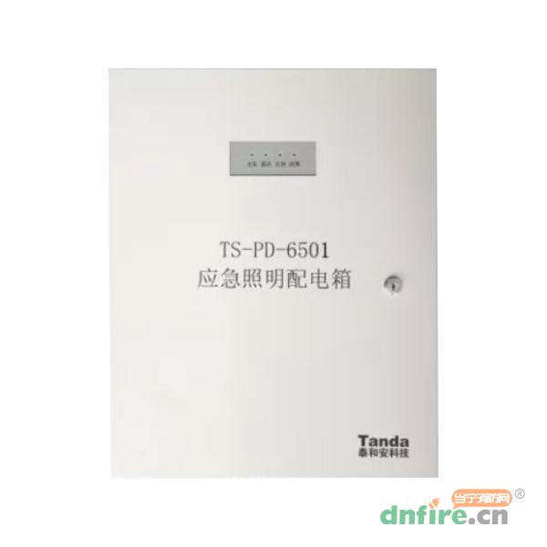 TS-PD-6501應(yīng)急照明配電箱,泰和安,應(yīng)急照明配電箱