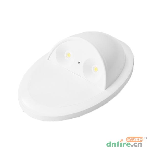 Z-ZFJC-E5W-1713集中電源集中控制型消防應急照明燈具LG1713,樂工光電,消防應急照明燈
