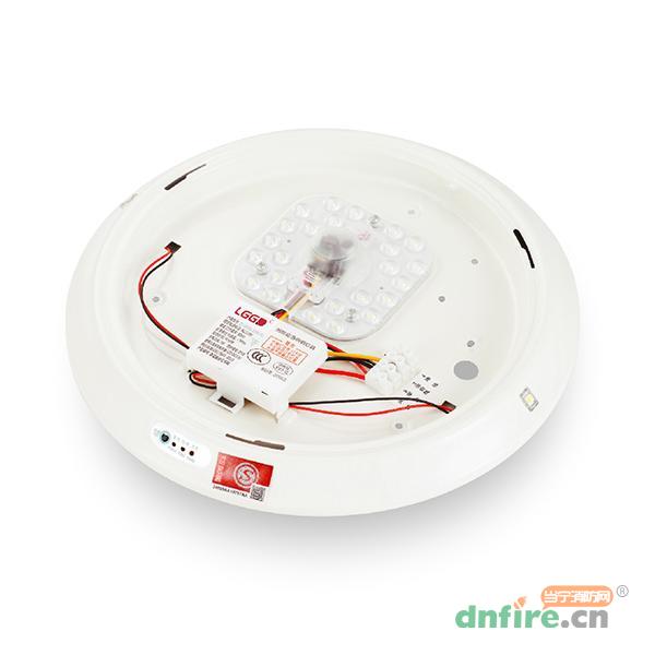 Z-ZFZD-E3W-B0212模組應(yīng)急吸頂燈LG0212,樂工光電,消防應(yīng)急照明燈