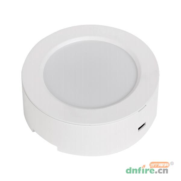 YSZ751B集中控制集中電源型照明燈5W（吸頂照明燈）,國泰怡安,消防應(yīng)急照明燈