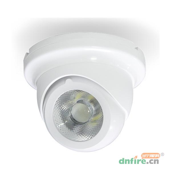 SS-ZFJC-E3W-617集中電源集中控制型消防應(yīng)急照明燈具,盛世名門,消防應(yīng)急照明燈