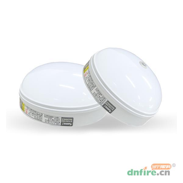 SS-ZFJC-E5W-635BT集中電源集中控制型消防應急照明燈具,盛世名門,消防應急照明燈