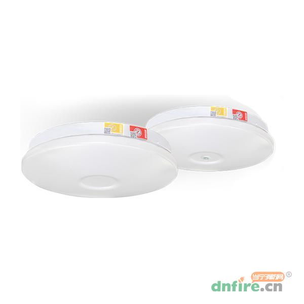 SS-ZFJC-E12W-634集中電源集中控制型消防應(yīng)急照明燈具