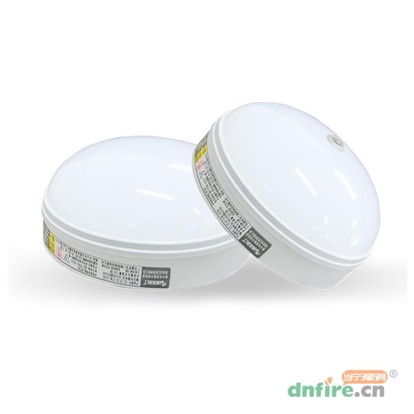 SS-ZFZC-E5W-G435B自帶電源集中控制型消防應(yīng)急照明燈具,盛世名門,消防應(yīng)急照明燈