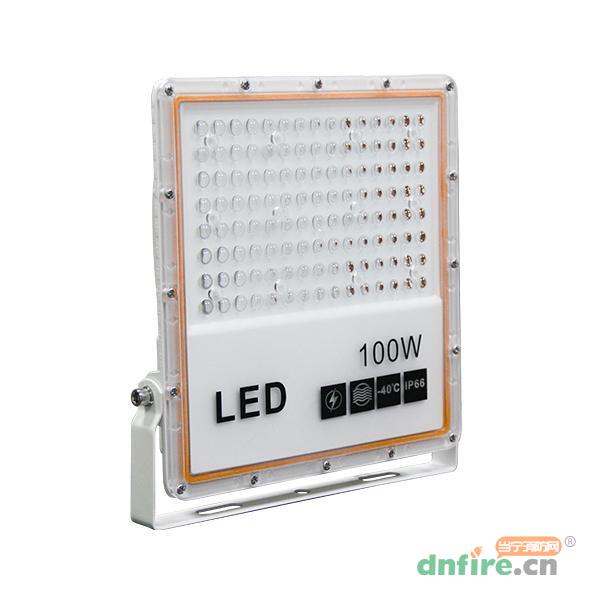 SS-ZLJC-E100W-601B集中電源集中控制型消防應(yīng)急照明燈具(B型),盛世名門,消防應(yīng)急照明燈