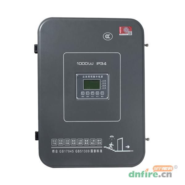 N-D-1KVA-216-36L2圓角鋰電池集中電源N8262,拿斯特,應(yīng)急照明集中電源