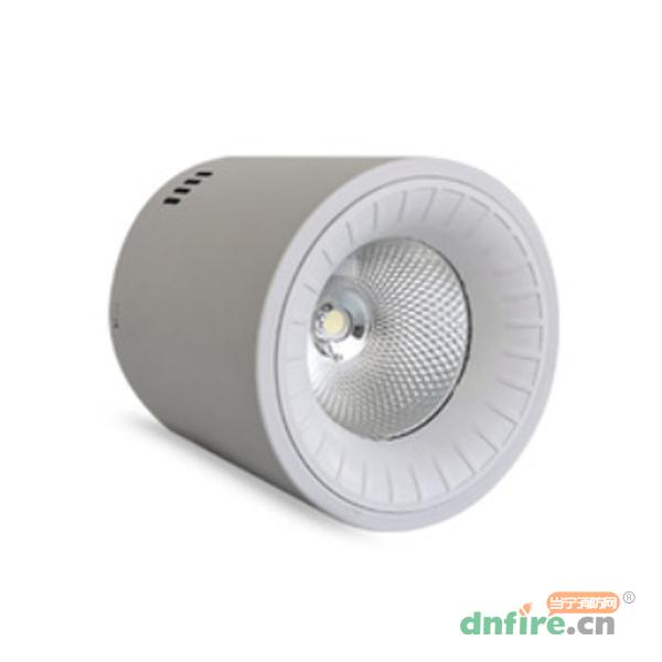GD-ZFJC-E36W-641集中電源集中控制型消防應(yīng)急照明燈具